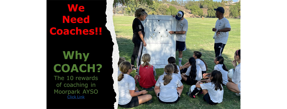 Looking for Coaches