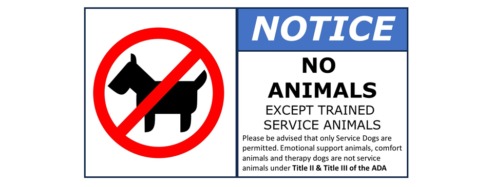 No Animals