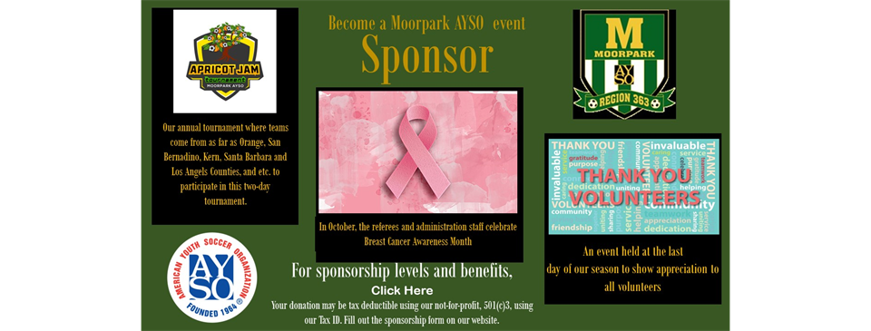 Become a Corporate Sponsor